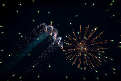 Firework Finale Cruise